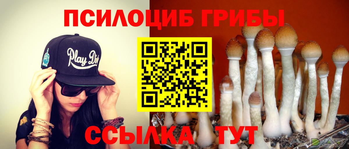 Псилоцибиновые грибы ЛСД  Вход с VPN  Керчь  Галлюциногенные грибы мухоморы 
